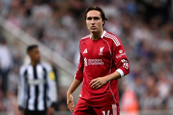 筠连县山体,滑坡救援与,安置工作持,365体育,365体育app,365体育官网,365体育下载,365体育入口